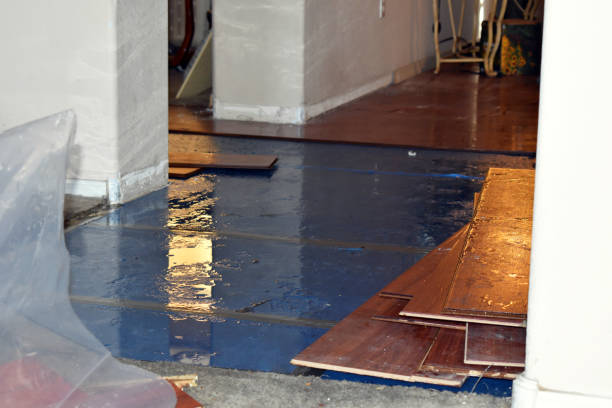Professional Water Damage Restoration technician working in Sun Valley, CA